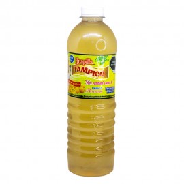 AGUA DE HUAPILLA TAMPICO PZ 1 L