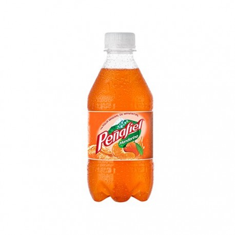 REFRESCO MANDARINA PEÑAFIEL BOTELLA 355 ml